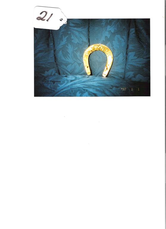 Phoenix Insurance - Brooklyn. Brass Horseshoe Fir