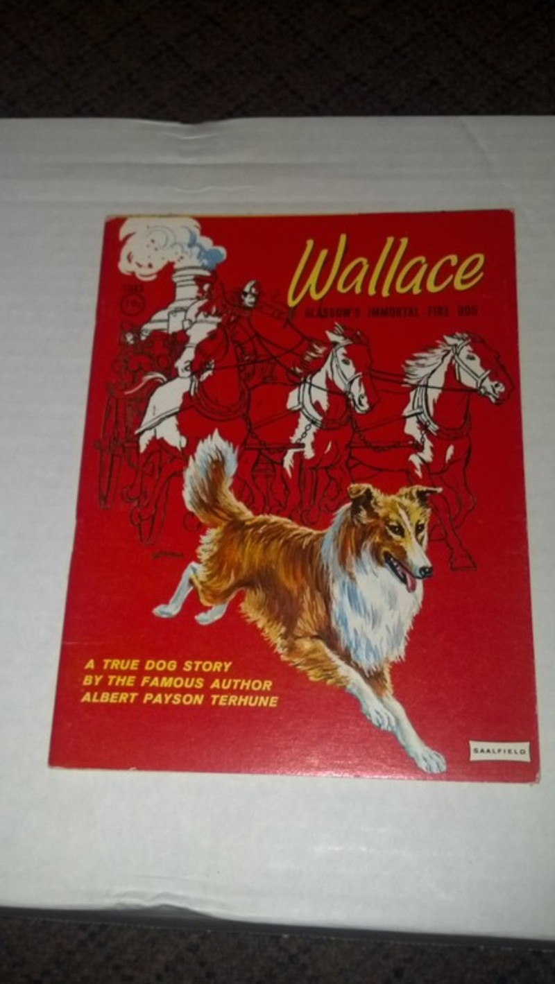 Children's Book about Wallace-Glasgow's Immortal F