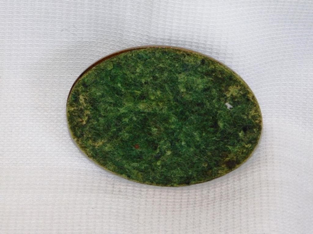 Paperweight, Charter Oak