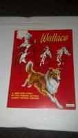 Children's Book about Wallace-Glasgow's Immortal F