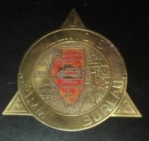 Illinois Farm Bureau Auto Tag- Grill emblem. Paint